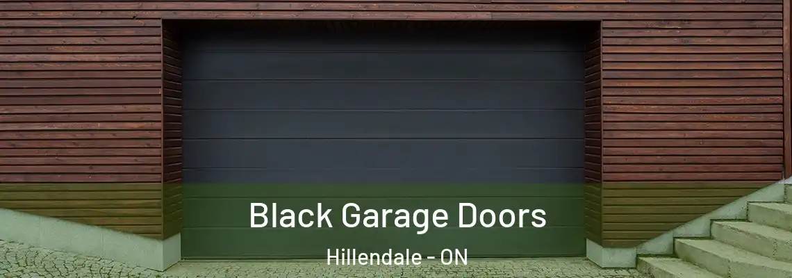 Black Garage Doors Hillendale - ON