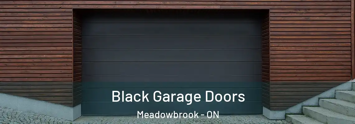 Black Garage Doors Meadowbrook - ON