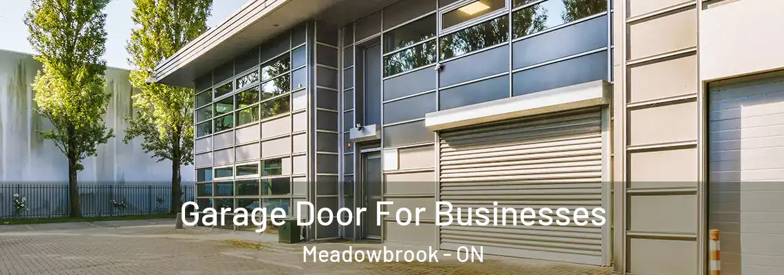 Garage Door For Businesses Meadowbrook - ON