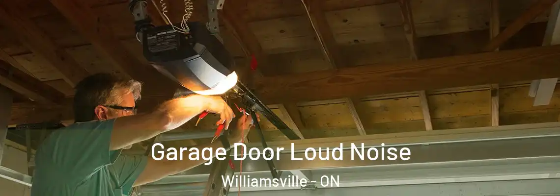 Garage Door Loud Noise Williamsville - ON