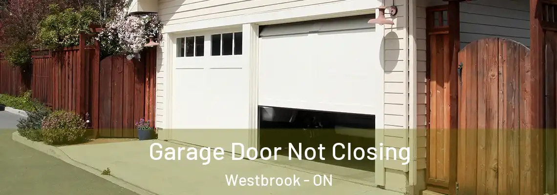 Garage Door Not Closing Westbrook - ON