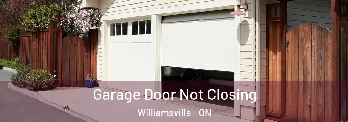 Garage Door Not Closing Williamsville - ON