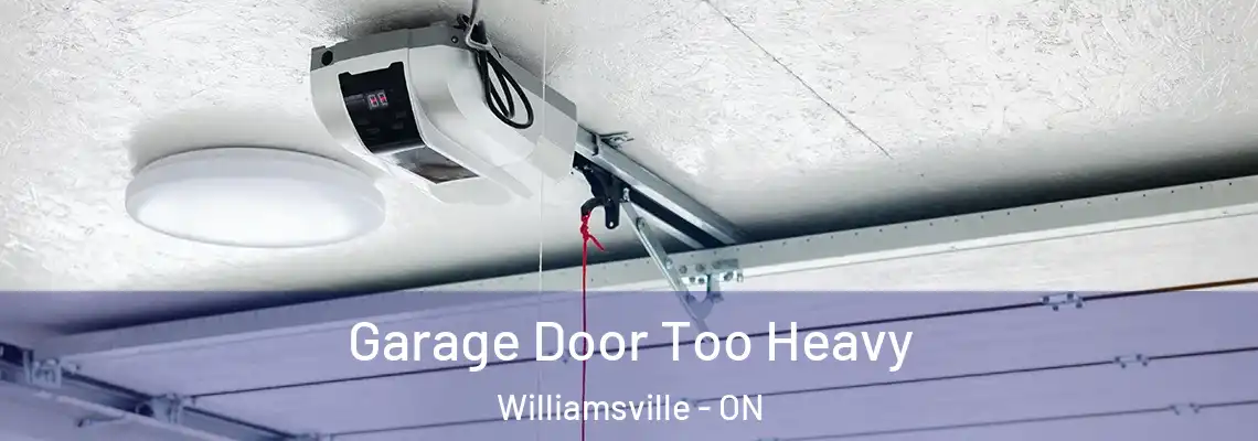 Garage Door Too Heavy Williamsville - ON